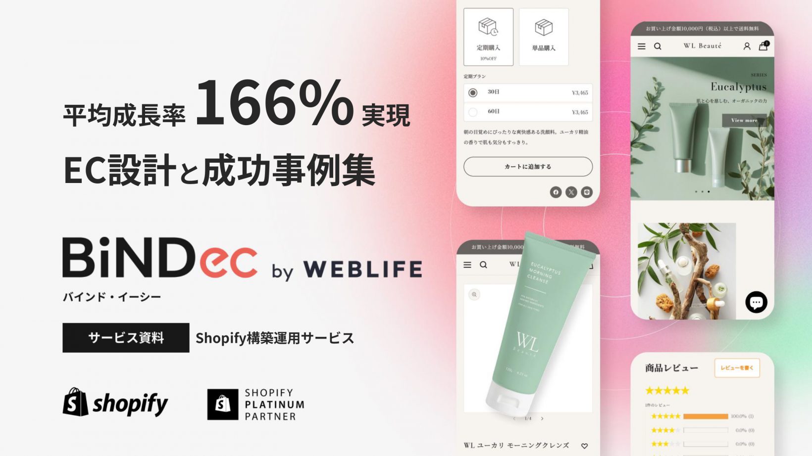 BiNDecサービス資料